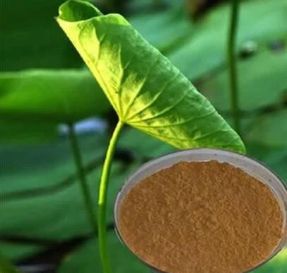 Nuciferine Extract