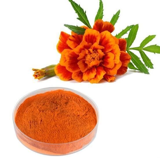 lutein 5% powder