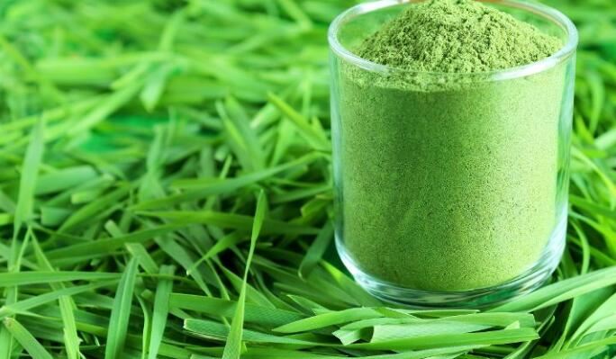 How much wheatgrass powder should I take How much wheatgrass powder should I take