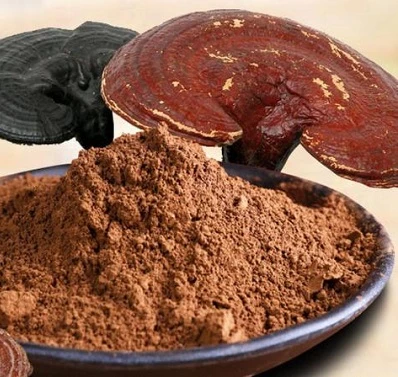 Pó Reishi vs. Extrato: Métodos de Teste, Identificação e Especificações