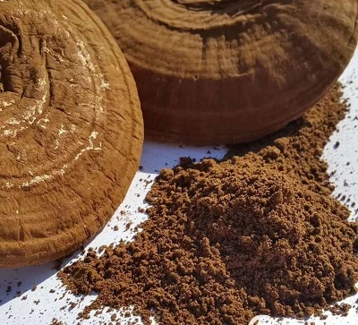Fabricantes de extrato de cogumelo Reishi: processos de extração e testes de potência