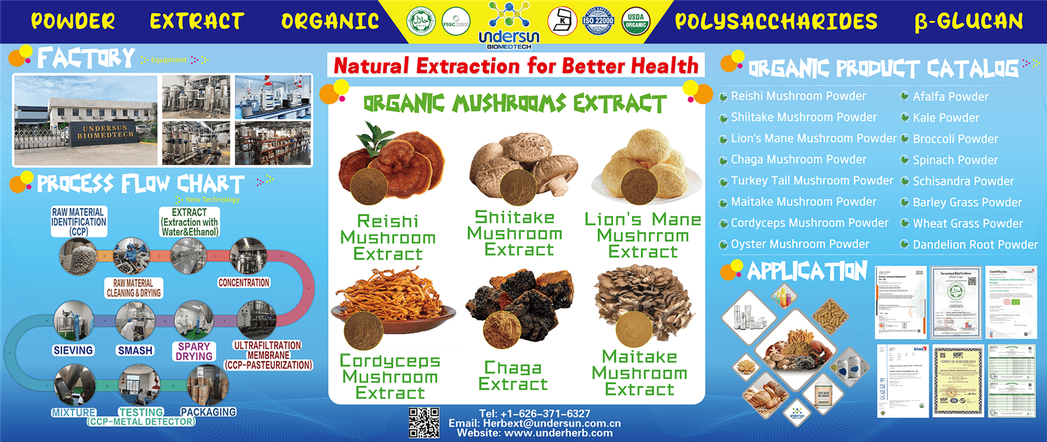 Compound Mushroom Powder - OEM Manufacturing Compound Mushroom Powder - OEM Manufacturing