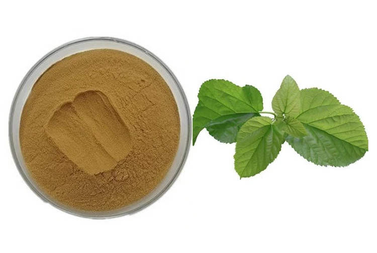 Mulberry Leaf Extract Mulberry Leaf Extract