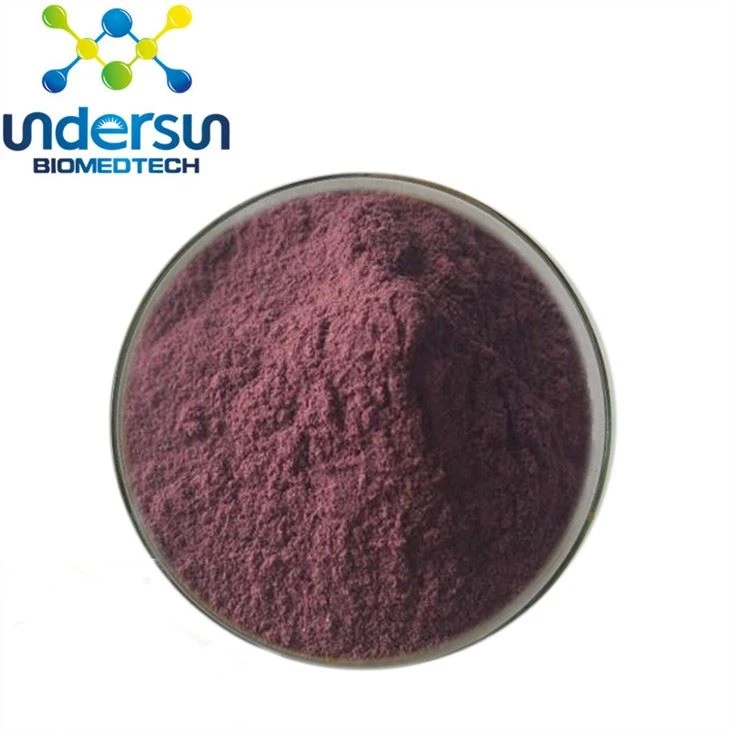 Extrato de Elderberry Negro