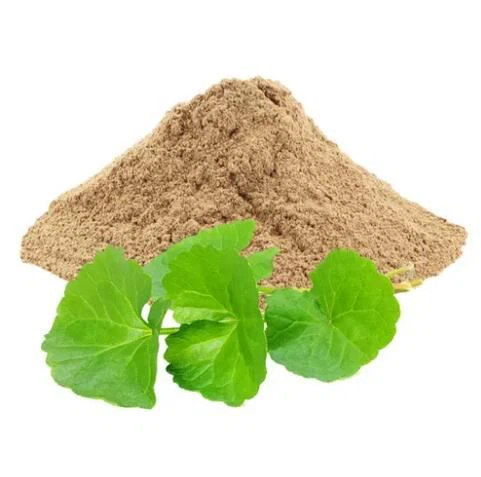 Pó orgânico gotu kola