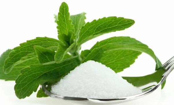 Pó de Extrato de Estevia Orgânica