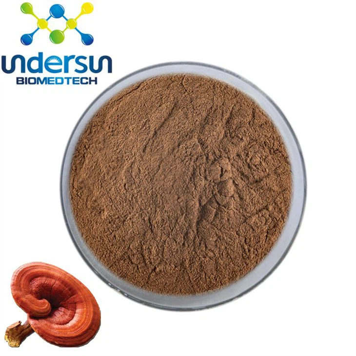 Extrato orgânico de cogumelo Reishi