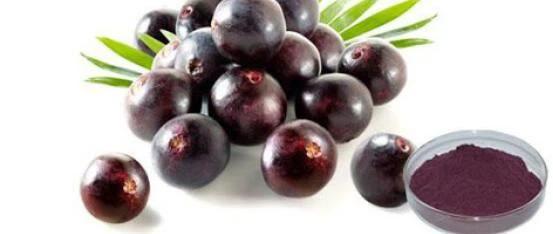Pó de suco de açaí