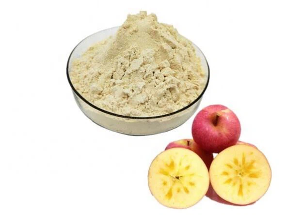 Pó de maçã liofilizada