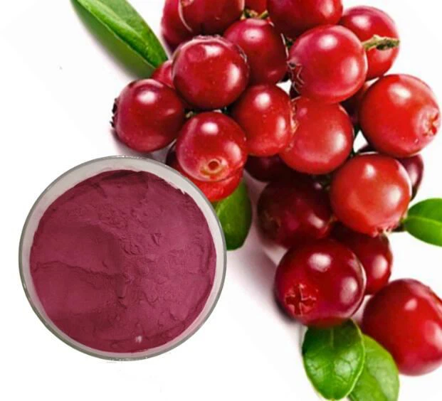 Pó de Lingonberry liofilizado