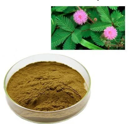 Pó de mimosa