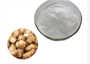 Extrato de raiz de chicória