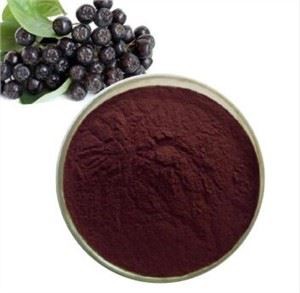 Extrato de Chokeberry