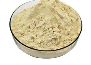 Proteína de soja hidrolisada