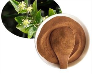 Extrato de Quillaja Saponaria