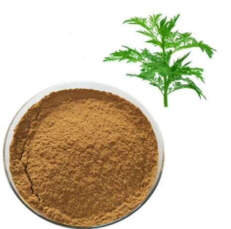Pó de Wormwood