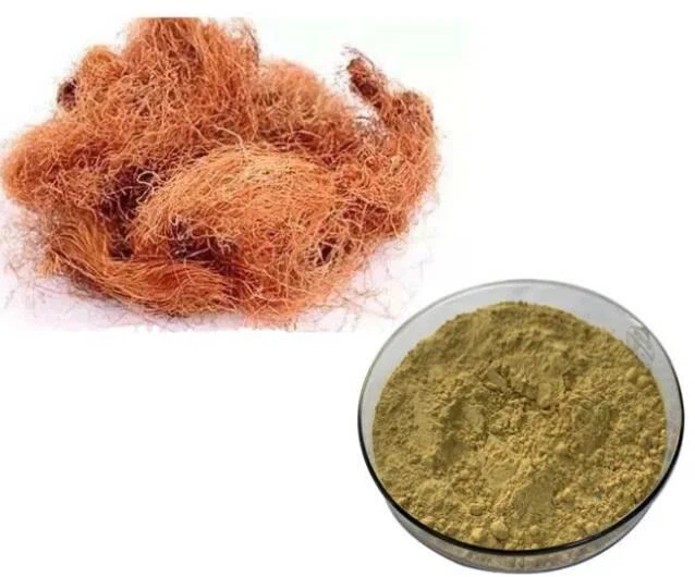 Extrato de seda de milho